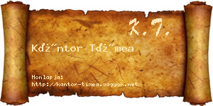 Kántor Tímea névjegykártya